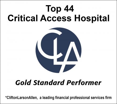 Hammond-Henry Hospital Critical Access Gold Standard Performer
